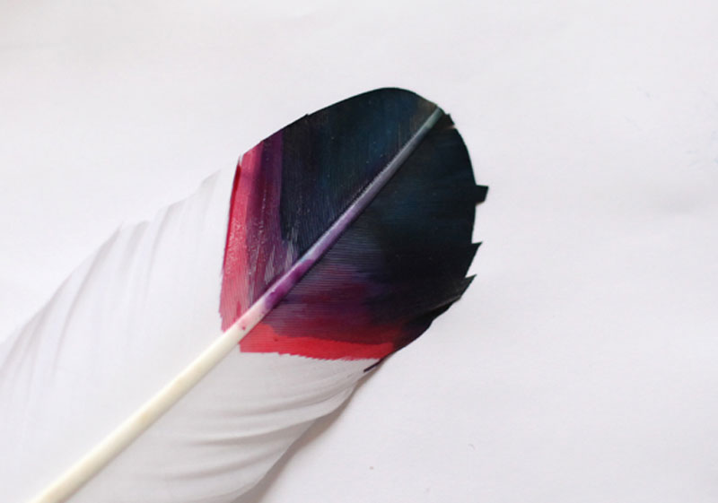 diy-painted-feathers-2